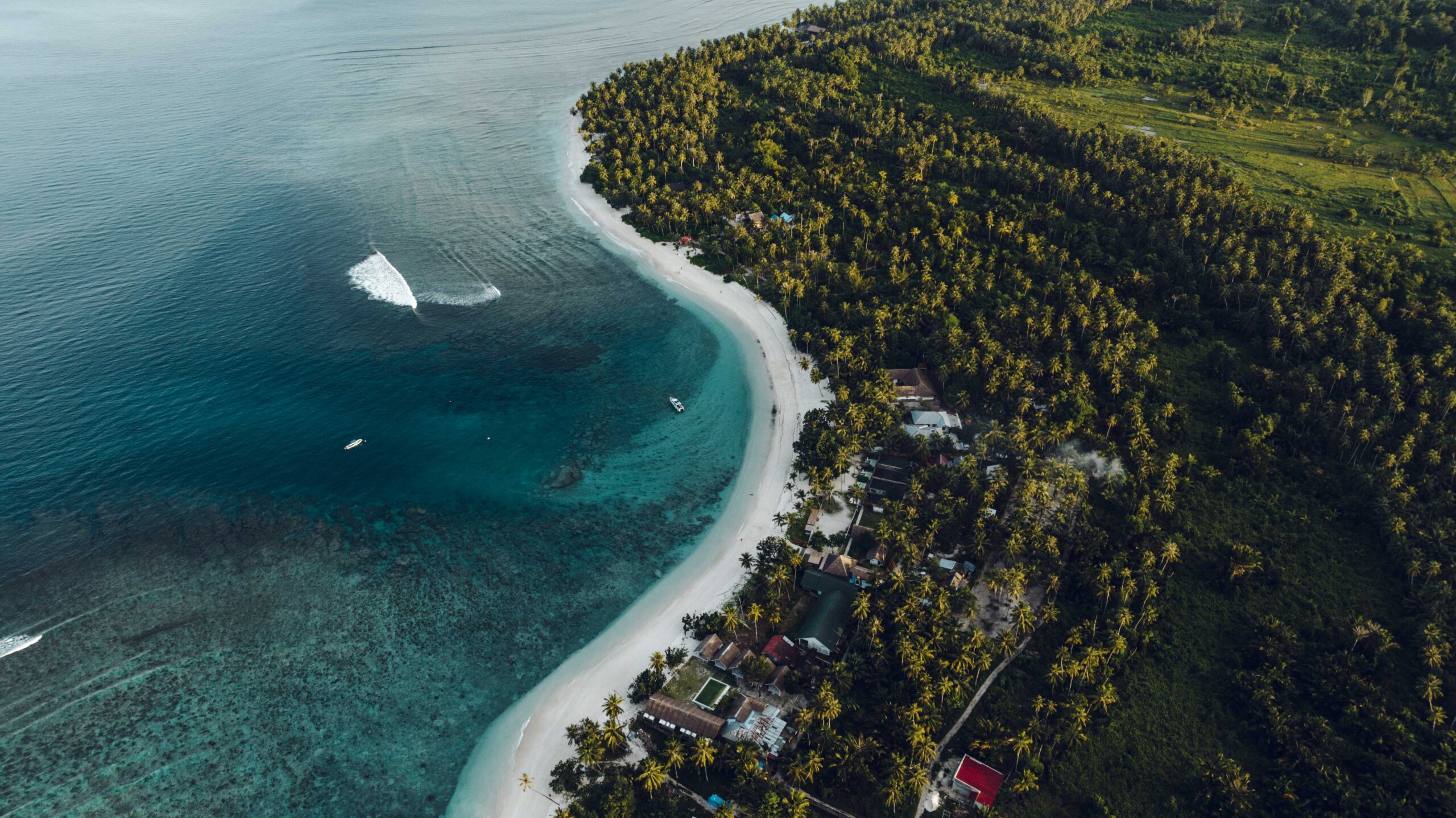 Stunning overhead photo of Hollow Tree's Surf Resort in the Mentawai Islands